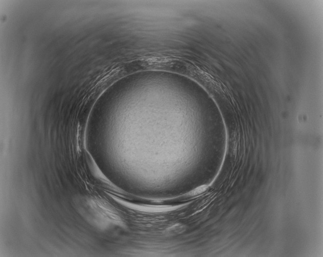 X0000087601346200704271322