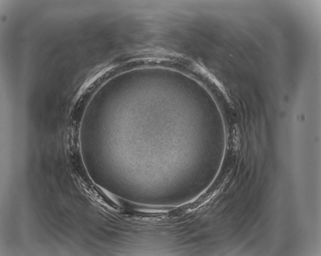 X0000087601352200704271322