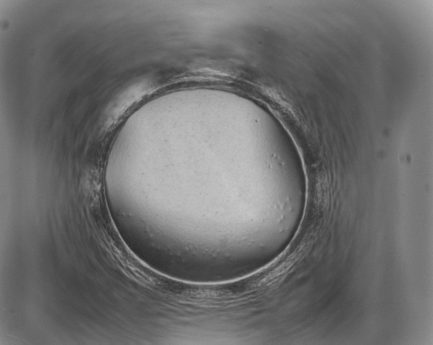 X0000087601355200704271322