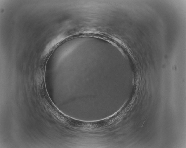 X0000087601359200704271322