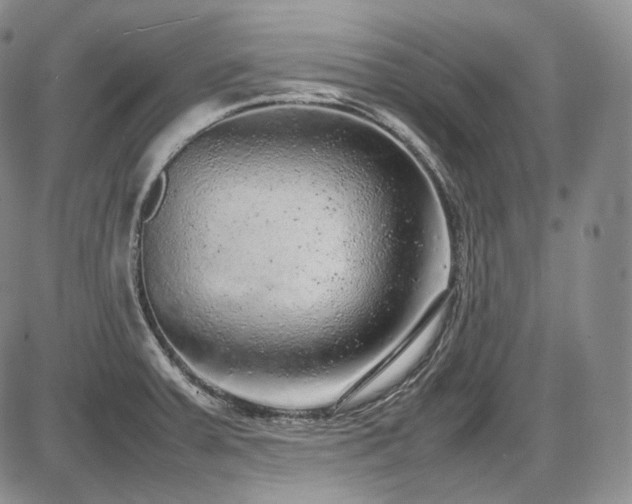 X0000087601379200704271321