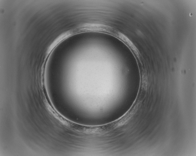 X0000087601386200704271321