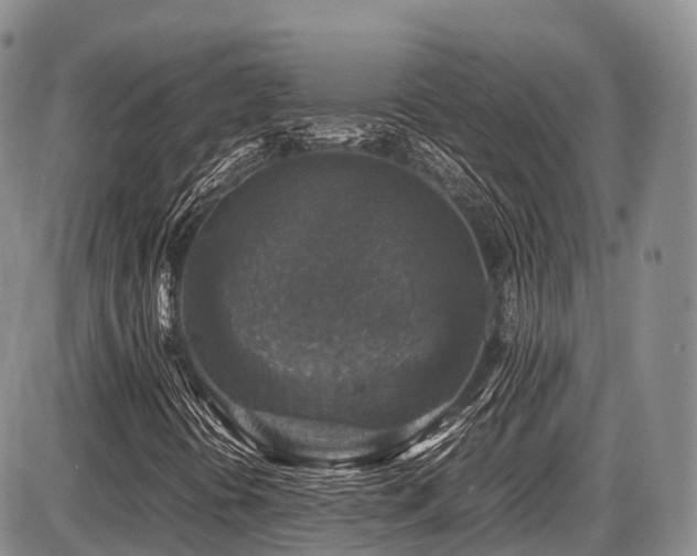 X0000087601394200704271320