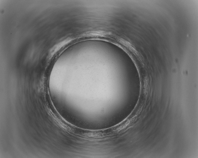 X0000087601404200704271321