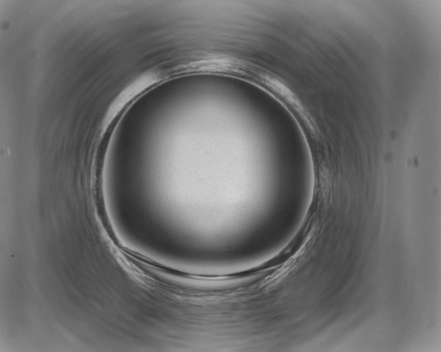 X0000087601426200704271321