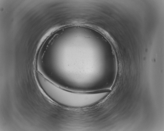 X0000087601432200704271321