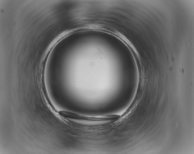 X0000087601437200704271321