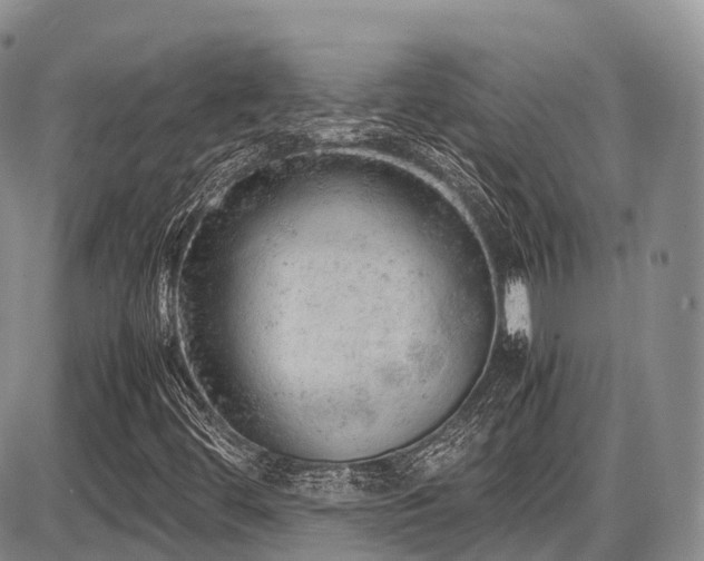 X0000087601444200704271320