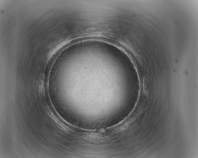 X0000087601452200704271320