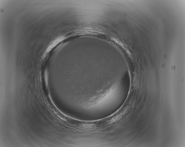 X0000087601453200704271320