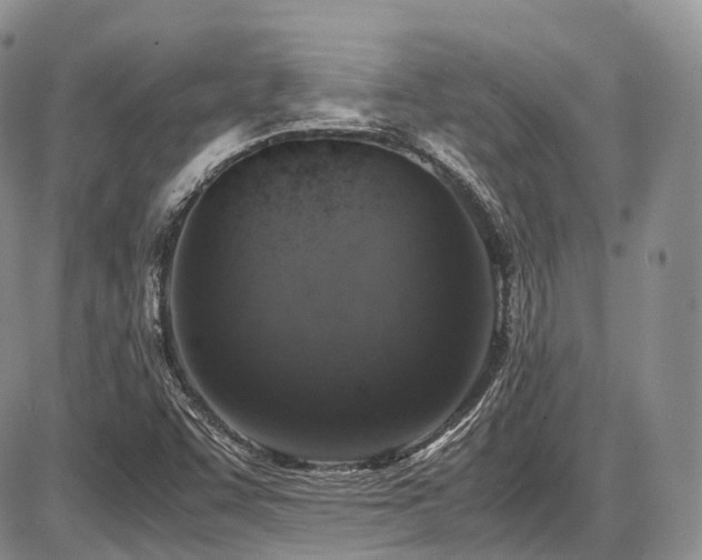 X0000087601455200704271320