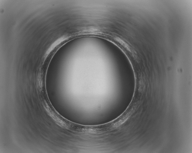 X0000087601458200704271320