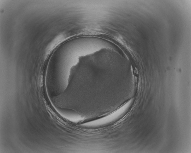 X0000087601459200704271320