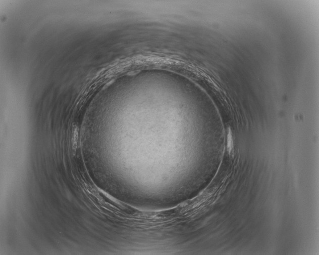 X0000087601492200704271319