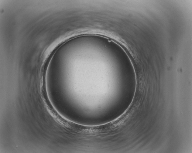X0000087601511200704271319