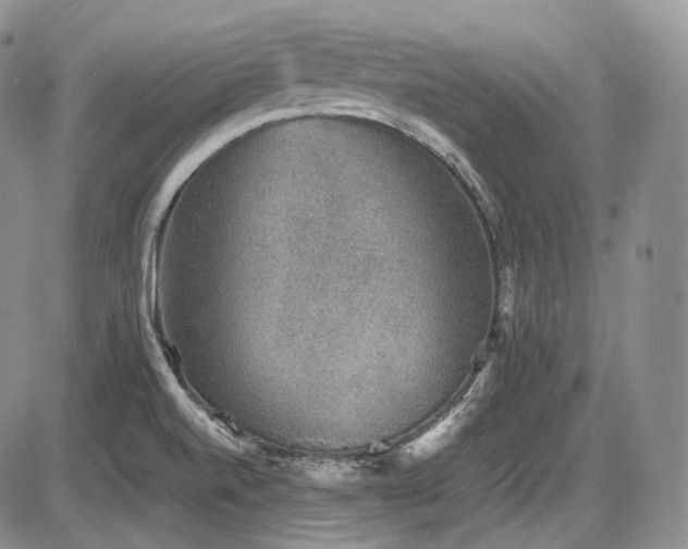 X0000087601520200704271319