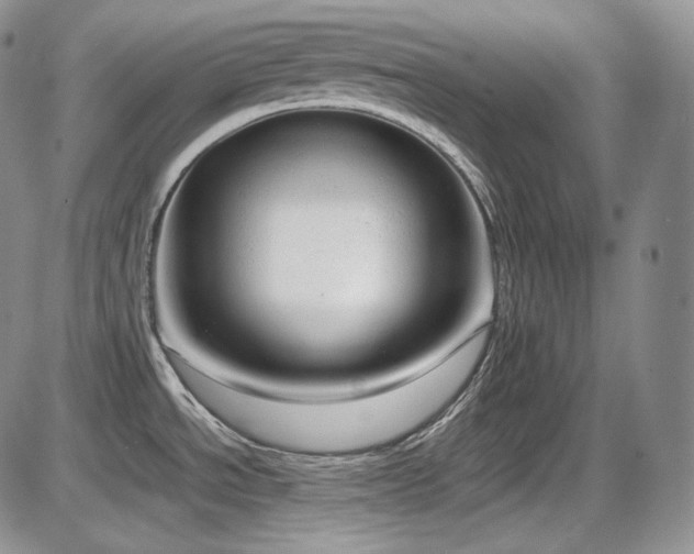 X0000087601534200704271320