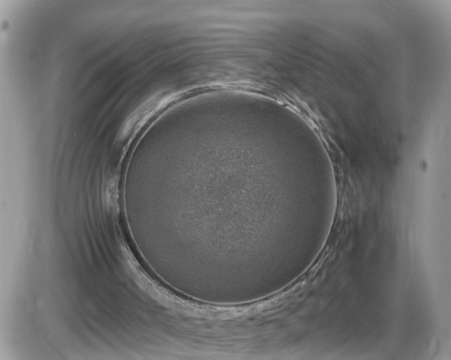 X0000087600002200705041546
