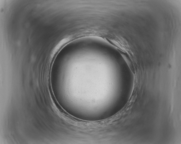 X0000087600003200705041546
