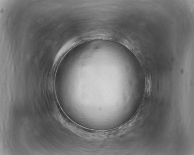 X0000087600004200705041546