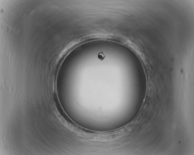 X0000087600011200705041545