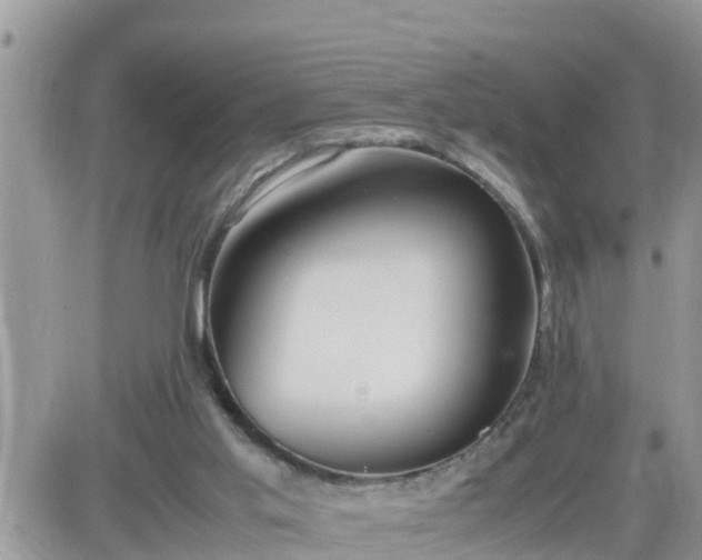 X0000087600013200705041545