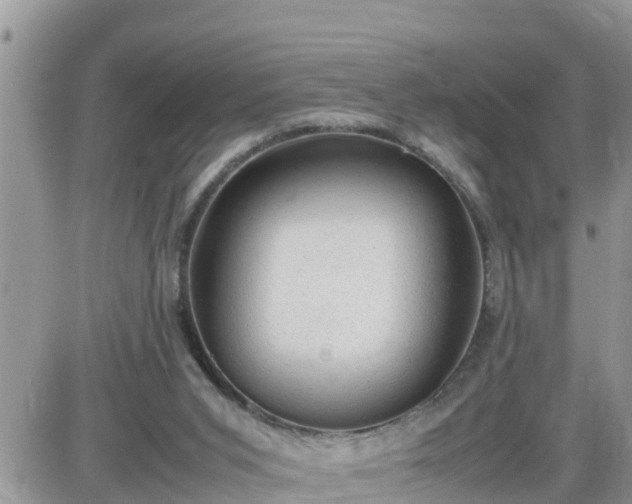 X0000087600015200705041545