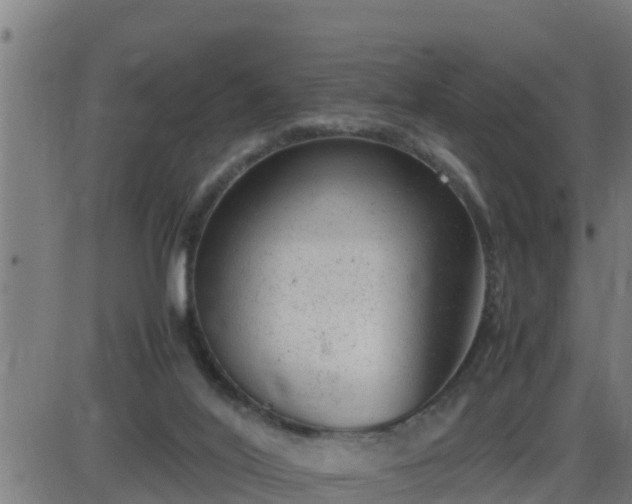 X0000087600020200705041545