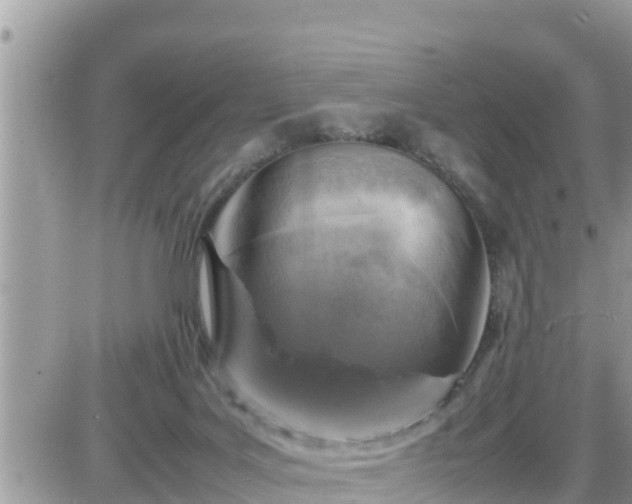 X0000087600027200705041545