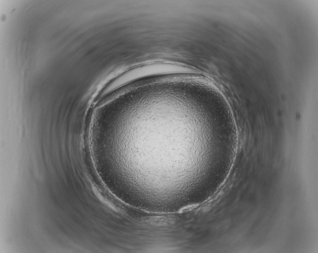 X0000087600050200705041544