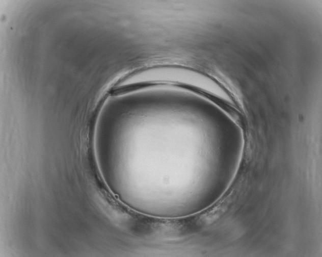 X0000087600107200705041544