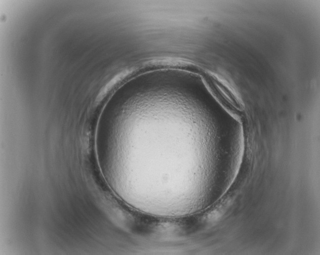 X0000087600111200705041544
