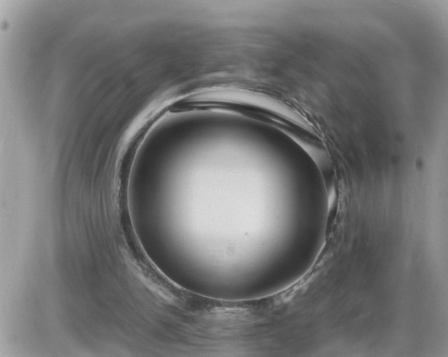 X0000087600150200705041543
