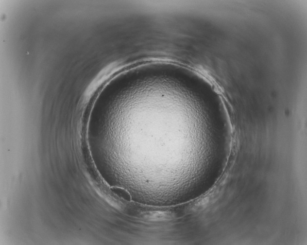 X0000087600151200705041543