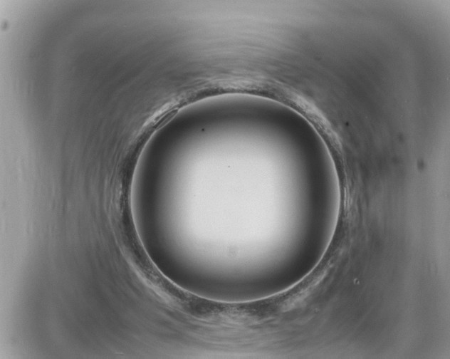 X0000087600201200705041542