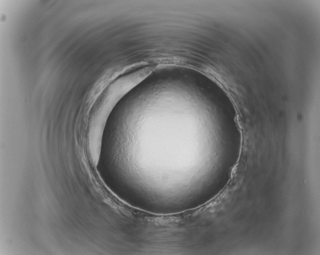 X0000087600241200705041541