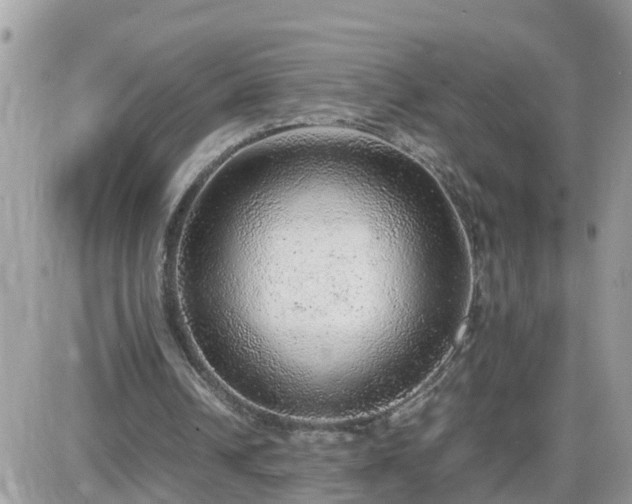 X0000087600242200705041541