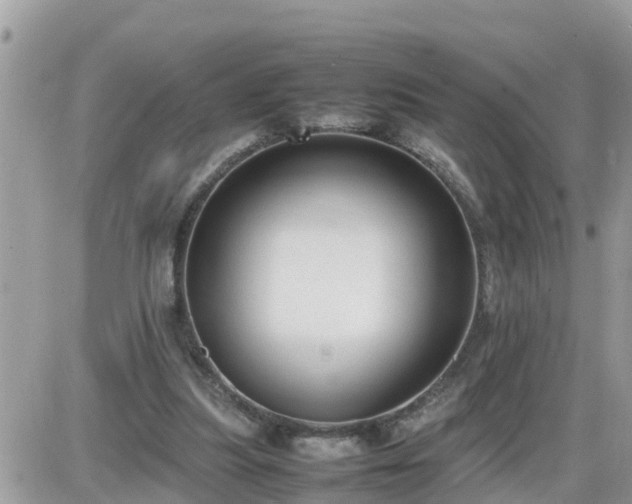 X0000087600251200705041541