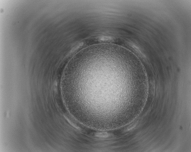 X0000087600269200705041541