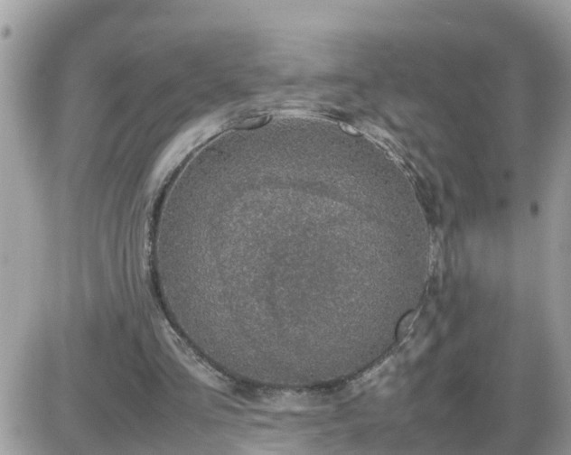 X0000087600293200705041541