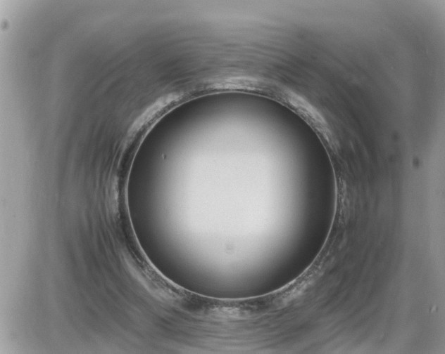 X0000087600298200705041541