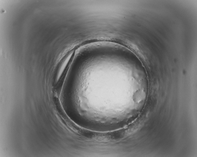 X0000087600299200705041541