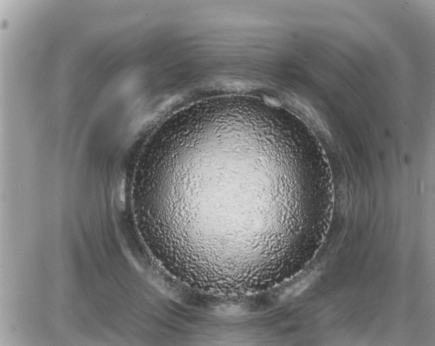 X0000087600358200705041540