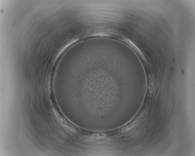 X0000087600386200705041539