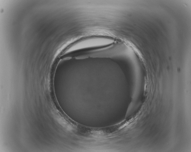 X0000087600391200705041539
