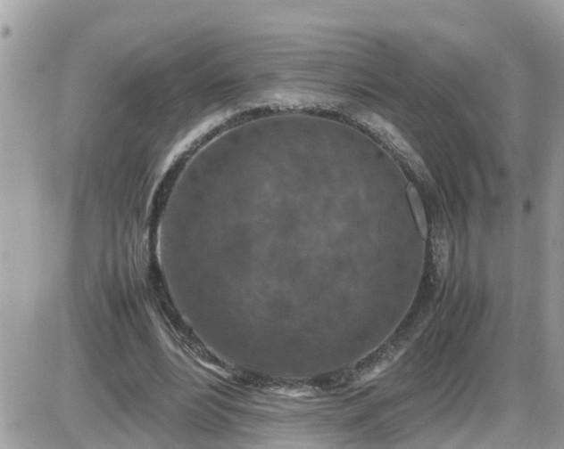 X0000087600488200705041538
