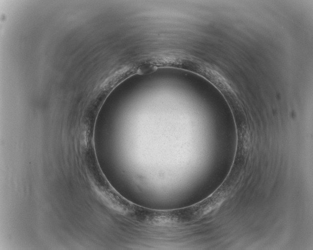 X0000087600546200705041537
