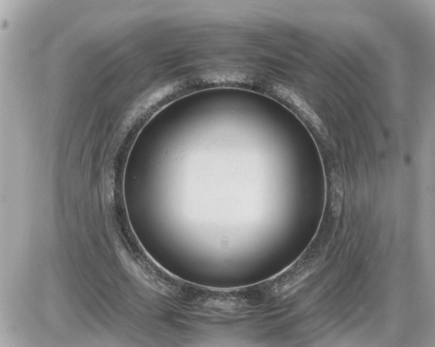 X0000087600631200705041535