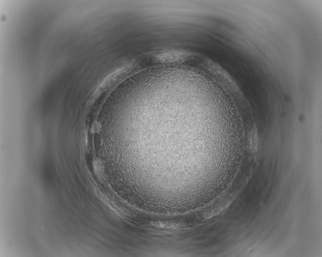 X0000087600733200705041533