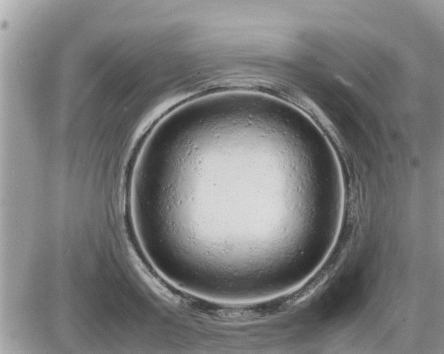 X0000087600795200705041533